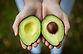 Sliced Avocado