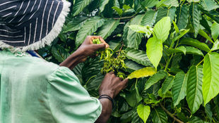 “Harvest Time” Resident Engagement @ The Gardens