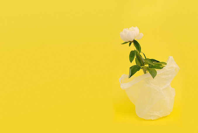 Flower in Plastic Bag