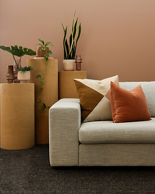 Sofa and Plants