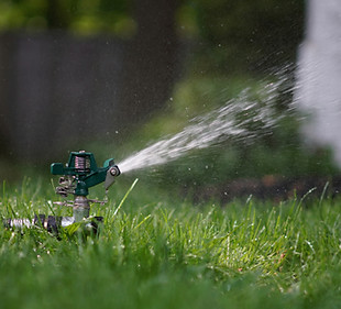 Lawn Sprinkler in Action