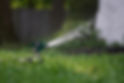 Lawn Sprinkler in Action