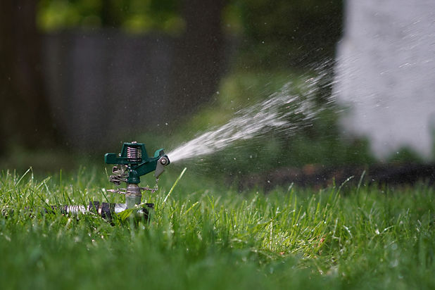 Lawn Sprinkler in Action