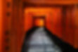 Shrine Path