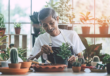 Retirement Visa