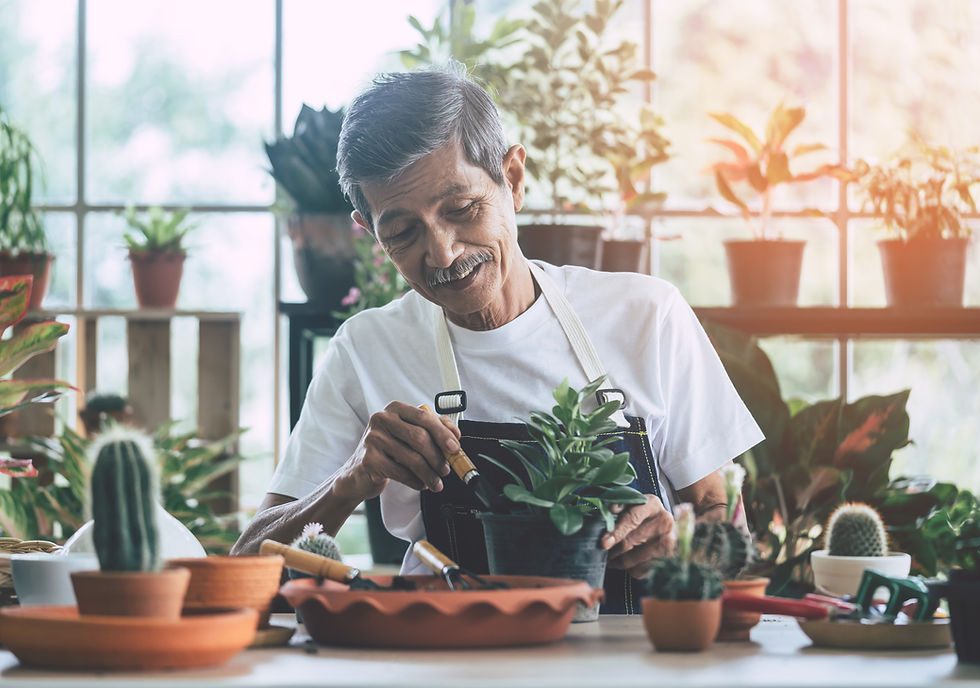 Gardener Potting Plant