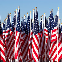 Studium v USA