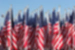 American Flags Display