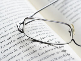 Introduction to ChilliDB Search