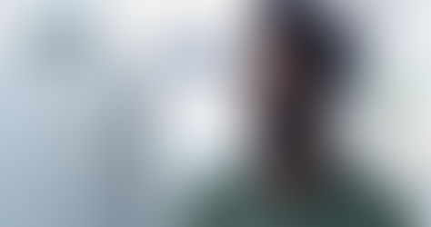 Why Remote Online Notarization is the Smart, Secure Choice