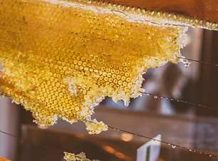 Piece of Honeycomb