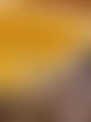 Taller familiar"Abejas, miel y semillas" · Nuevas fechas en marzo + reservas online