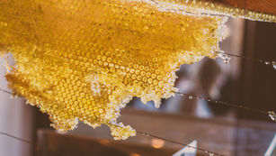 The Sweet Truth: Comparing Honey and Sugar