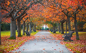 Park in the Fall