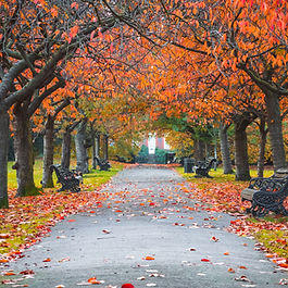 Park in the fall