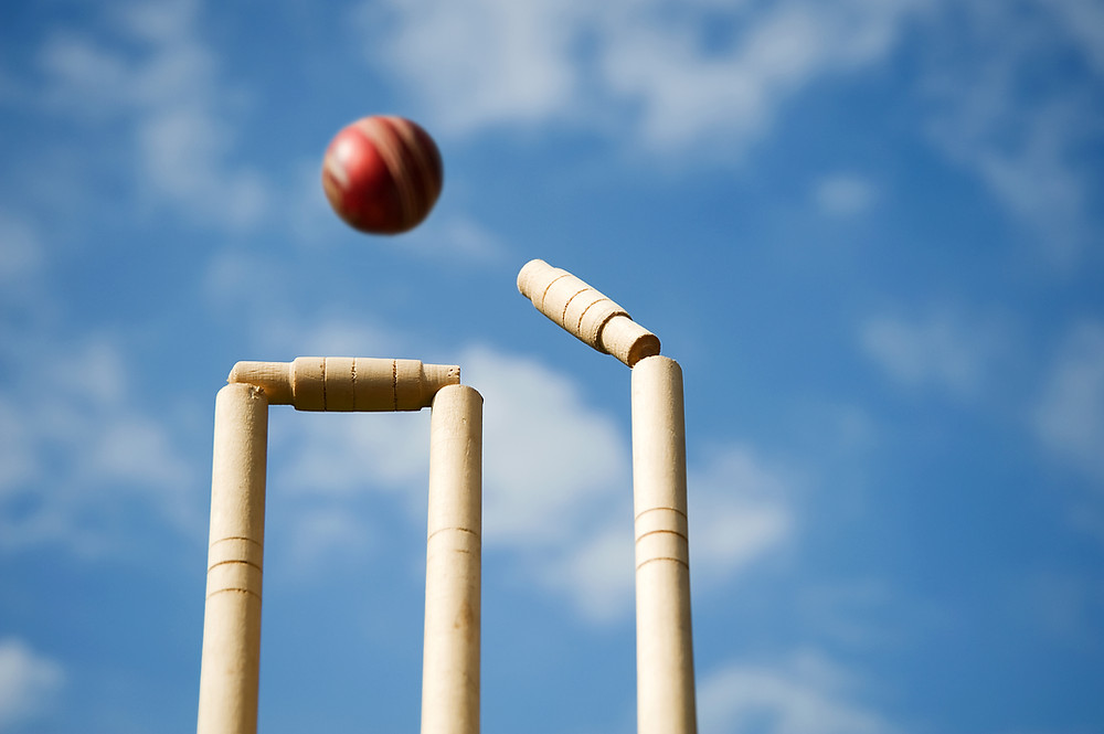 cricket