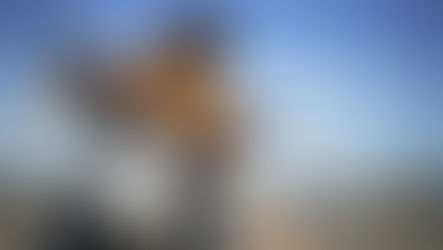 Day Three Forex Trading Course - Exposing the Inside of FX