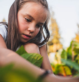 野菜を収穫する少女
