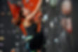escalade - teambuilding entreprise