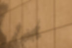 Shadow on Concrete Wall