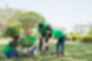 Group of Asian volunteering for planting a tree in the park