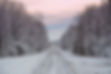 Winter Snow