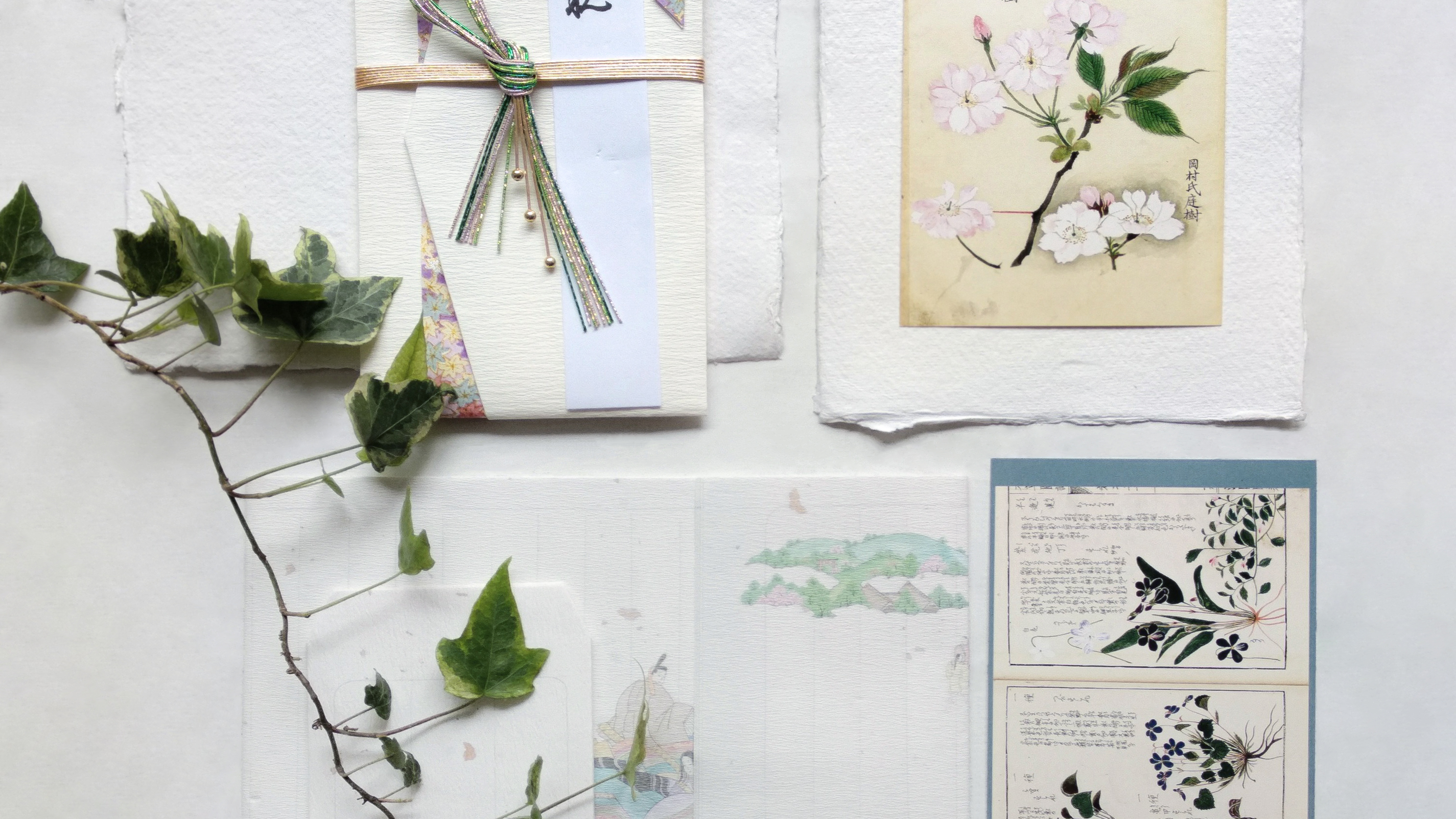 Plant Wall Art