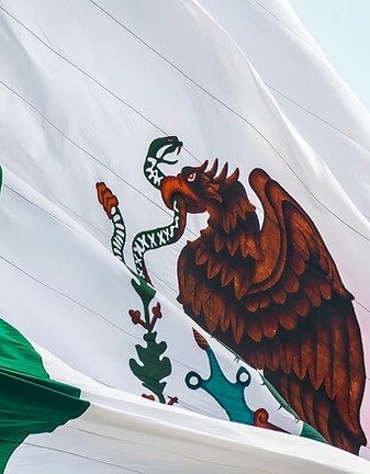 Mexican Flag