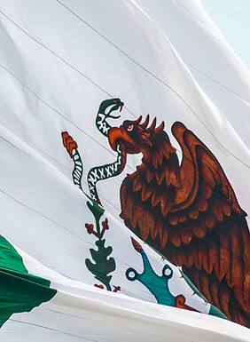 Mexican Flag
