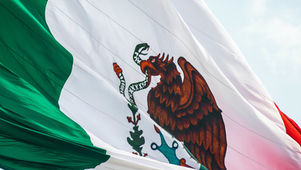 REFORMA CONSTITUCIONAL EN MATERIA DE NACIONALIDAD ÚNICA PARA LOS TITULARES DE LOS PODERES EJECUTIVOS FEDERAL Y LOCALES.