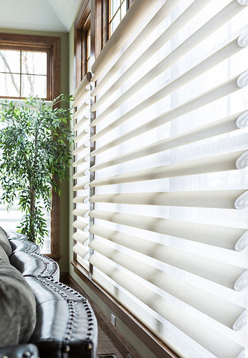 Blinds on window in living room
