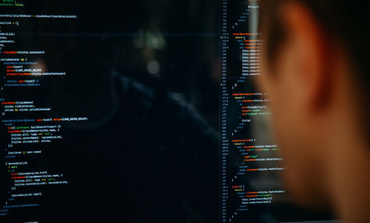Programador