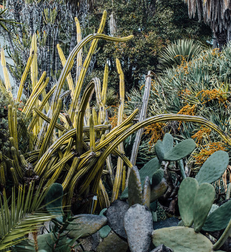 Equipe multidisciplinar realizando levantamento de campo e análise de dados para elaboração de Diagnóstico Ambiental Integrado.