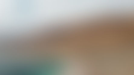 This Land is My Land!