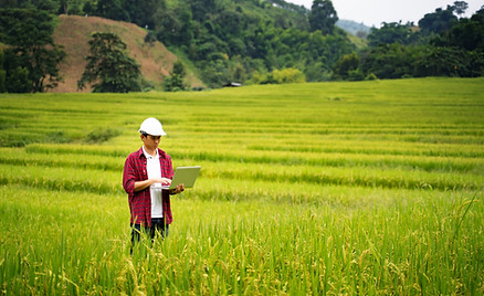 A young man using a laptop PC in a rice paddy