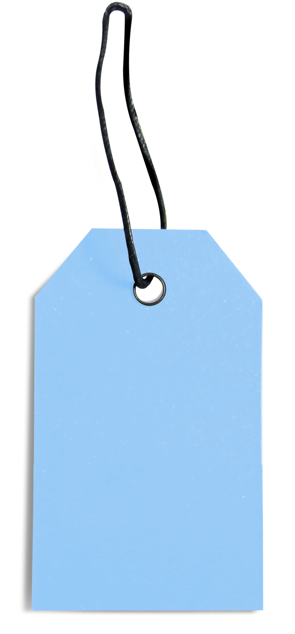Blue Price Tag