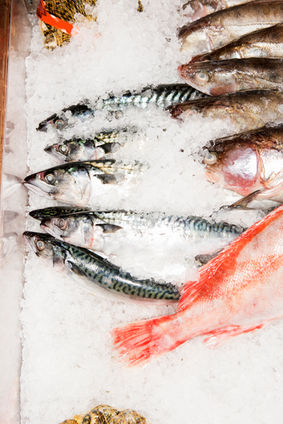 鮮魚