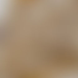 Church Roles - November