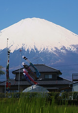 富士山