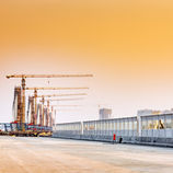 Row of Cranes