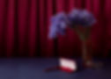 Elegant Still Life