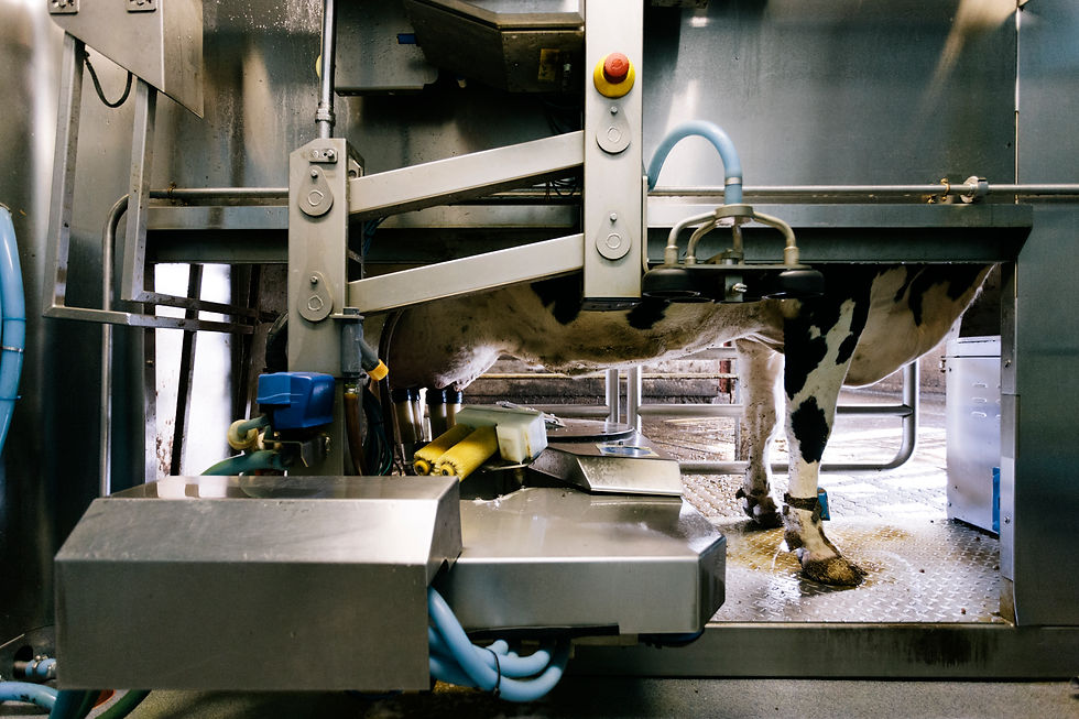 Industrial machinery operating inside a factory manufacturing setup