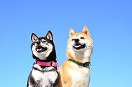 爽やか青空♪