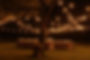 Night outdoor event setup