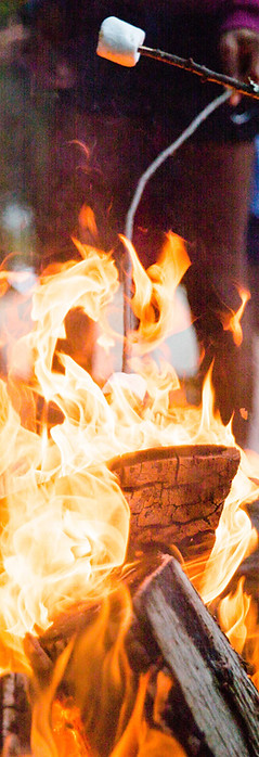 Marshmallows Over Campfire