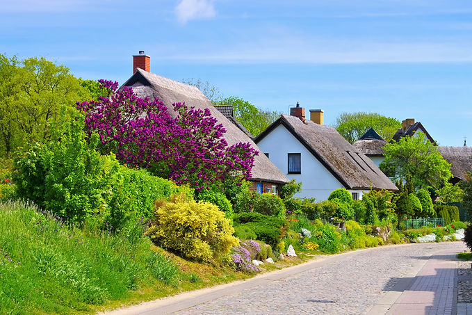 Countryside