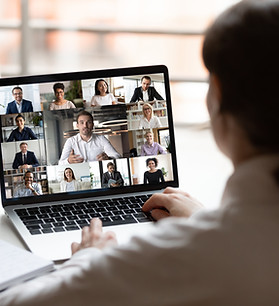 Virtual Team Meeting