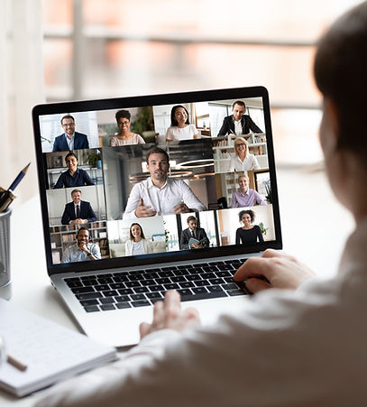 Virtual Meeting Screen