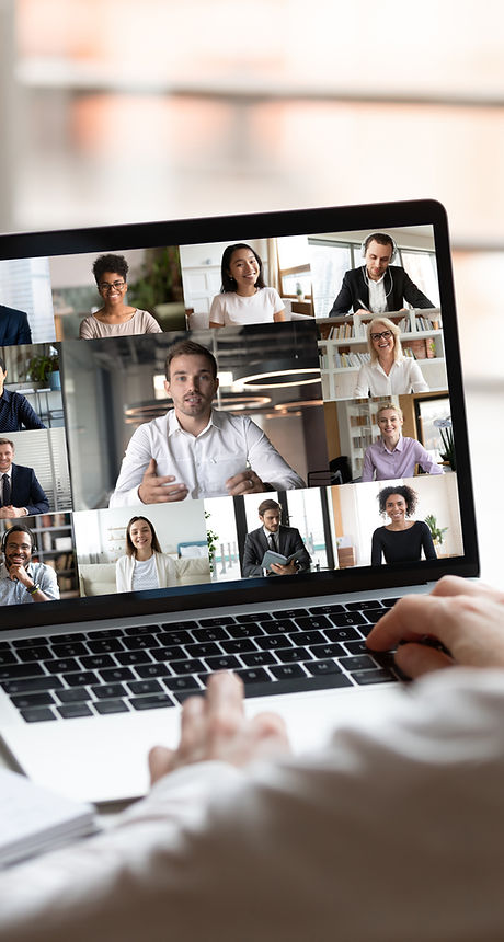 Virtual Team Meeting