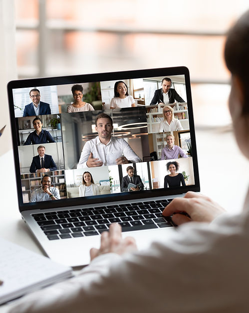 Virtual Team Meeting